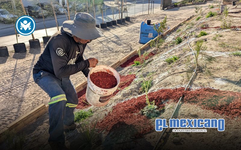 Optimiza Mucho Mulch la gesti&oacute;n del suelo urbano