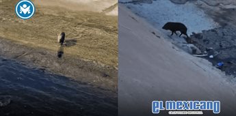 Jabal&iacute; causa inusual persecuci&oacute;n en canal de Chihuahua