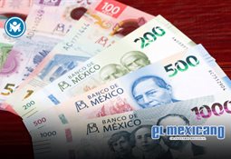 Detienen en Ocotl&aacute;n, Oaxaca, a enfermera que atropell&oacute; y arrastr&oacute; a motociclista en CDMX