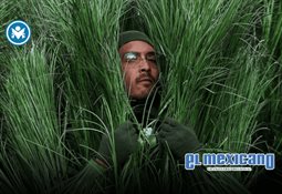 Grave atropello en Monterrey: joven se lanza a vialidad y es embestida