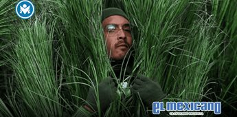 Extras disfrazados de arbustos en el show de Bad Bunny del Super Bowl ganaron hasta 1.300 d&oacute;lares