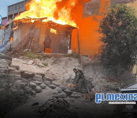 Rescatan a dos perros atrapados en incendio en la colonia Camino Verde