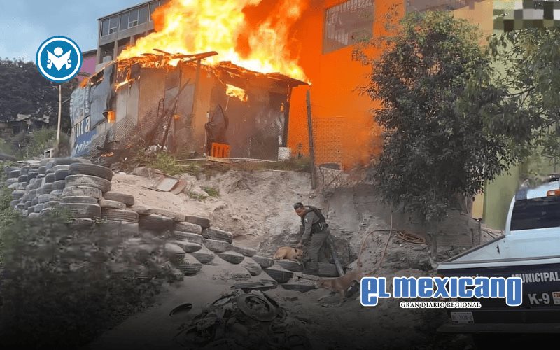 Rescatan a dos perros atrapados en incendio en la colonia Camino Verde
