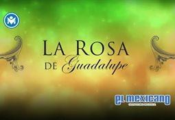 Alicia y las Hormigas llega a M&eacute;xico para presentar su EP Arresto Discotecario