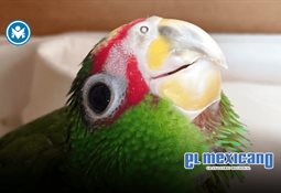 Marina y Comando Sur de EU aseguran 188 bultos con toneladas de coca&iacute;na en el Pac&iacute;fico