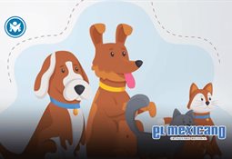 Confrontamiento verbal entre traficantes de gasolina y la Marina se viraliza