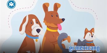 3 maneras de celebrar el Día mundial de amar a tu mascota en la CDMX 3 maneras de celebrar el Día mundial de amar a tu mascota en la CDMX