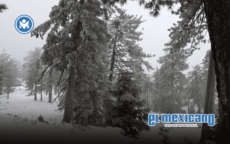 Nevada cristaliza tramos de la carretera en la Sierra de San Pedro M&aacute;rtir
