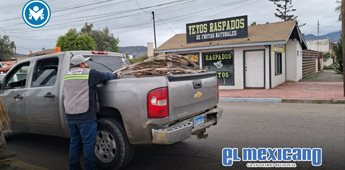 Sin da&ntilde;os mayores por lluvias; reportan nieve en sierras
