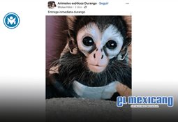 Tiendanube recomienda tiendas propias y AI para proteger ganancias de negocios mexicanos