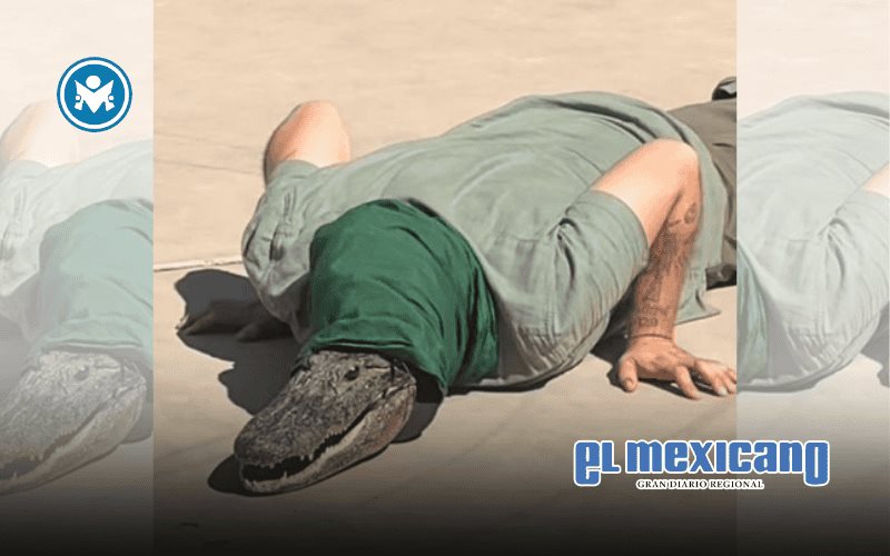 Joven caracterizado como cocodrilo en Navojoa se vuelve viral