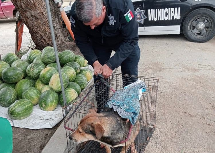 imagen-cuerpo imagen-cuerpo