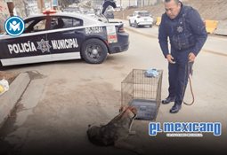 Instalan barreras de contenci&oacute;n en Libramiento Rosas Magall&oacute;n por reparaci&oacute;n de socav&oacute;n