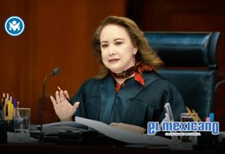 Detienen a "El Lexus", presunto líder de célula del Cártel del Golfo Detienen a "El Lexus", presunto líder de célula del Cártel del Golfo