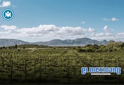 Forman nuevo talento listo para las exigencias del campo laboral Forman nuevo talento listo para las exigencias del campo laboral