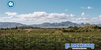Instala Gobierno del Estado delegaci&oacute;n de turismo en Valle de Guadalupe