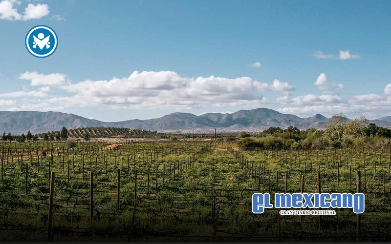 Instala Gobierno del Estado delegación de turismo en Valle de Guadalupe Instala Gobierno del Estado delegación de turismo en Valle de Guadalupe