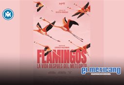 ¿Romance entre Hollywood y la élite mexicana? Emma Watson y Gonzalo Hevia Baillères desatan rumores ¿Romance entre Hollywood y la élite mexicana? Emma Watson y Gonzalo Hevia Baillères desatan rumores