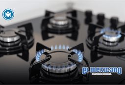 Custodia de mascotas, un tema legal cada vez m&aacute;s frecuente en los divorcios