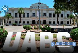 Advierte CCE riesgo democr&aacute;tico ante reforma electoral