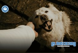 Impulsa Eva Moreno fortalecimiento de acceso a la justicia y apoyo a las familias, mediante una adecuada agenda social y jur&iacute;dica