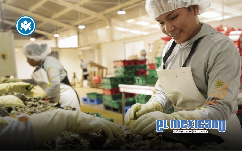 As&iacute; se vive el liderazgo femenino en la producci&oacute;n responsable de ostiones