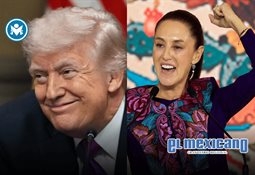 Lisa visita al mono Punch en zool&oacute;gico de Ichikawa, Jap&oacute;n