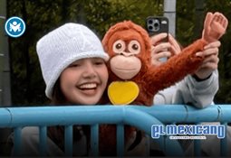 Propuestas de men&uacute; indispensables en el Disney California Adventure Food & Wine Festival 2026