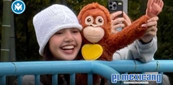 Lisa visita al mono Punch en zool&oacute;gico de Ichikawa, Jap&oacute;n