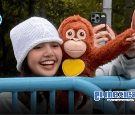 Lisa visita al mono Punch en zoológico de Ichikawa, Japón Lisa visita al mono Punch en zoológico de Ichikawa, Japón