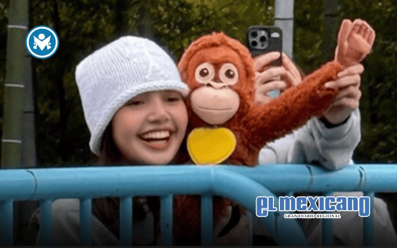 Lisa visita al mono Punch en zool&oacute;gico de Ichikawa, Jap&oacute;n