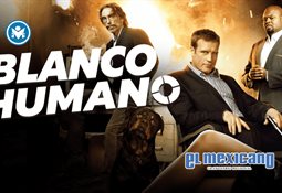 Captan a hijos de Luis Miguel y Aracely Ar&aacute;mbula en CDMX