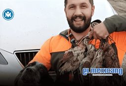 Punch, el mono viral japon&eacute;s, conquista corazones con su nueva compa&ntilde;era