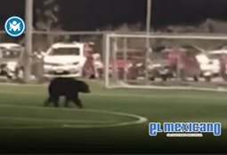 Pete Hegseth, Secretario de Guerra de EE.UU. afirma que l&iacute;der supremo iran&iacute; est&aacute; herido