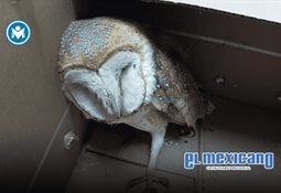 Presentan libro que advierte sobre nuevas sanciones por fallas en prevenci&oacute;n de lavado de dinero