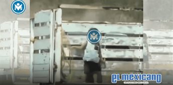 Ni&ntilde;o de 3 a&ntilde;os viaja en batea de camioneta en Oaxaca