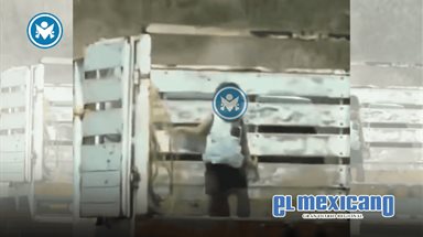 Ni&ntilde;o de 3 a&ntilde;os viaja en batea de camioneta en Oaxaca