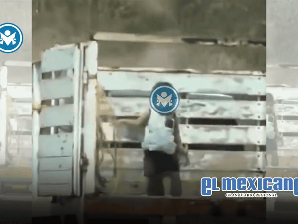 Ni&ntilde;o de 3 a&ntilde;os viaja en batea de camioneta en Oaxaca