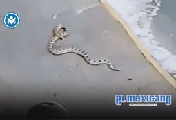 Pete Hegseth, Secretario de Guerra de EE.UU. afirma que l&iacute;der supremo iran&iacute; est&aacute; herido