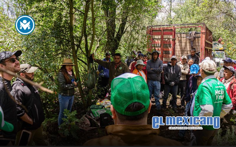 Se integra Nación Verde al Consejo Nacional Forestal para generar políticas medioambientales Se integra Nación Verde al Consejo Nacional Forestal para generar políticas medioambientales