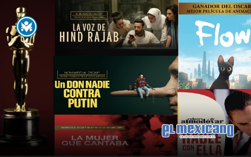 Pel&iacute;culas ganadoras y nominadas del Oscar para ver en streaming