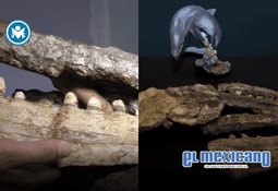 Aud&iacute;fonos Panasonic: el aliado perfecto para cada kil&oacute;metro