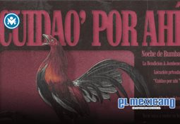 Gloria Trevi llega a Quer&eacute;taro con un concierto lleno de energ&iacute;a y &eacute;xitos