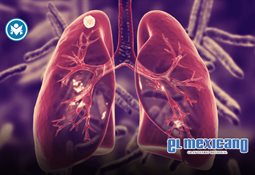 "De oc&eacute;ano a oc&eacute;ano": la ruta &eacute;pica de Explorer Rides para bikers de todo M&eacute;xico