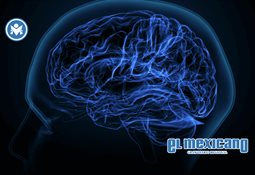 Egipto ordena cierre temprano de comercios para ahorrar energ&iacute;a