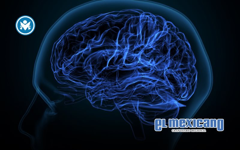 &iquest;Qu&eacute; factores ayudan a ralentizar el envejecimiento del cerebro, seg&uacute;n el Dr. Naim Dahdah?