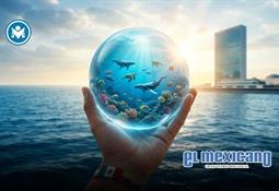 Mujeres resilientes transforman retos en oportunidades