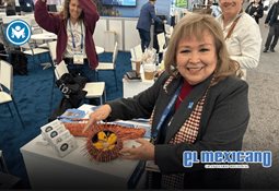 Recomiendan robustecer materialidad  fiscal con Metadatos y Compliance