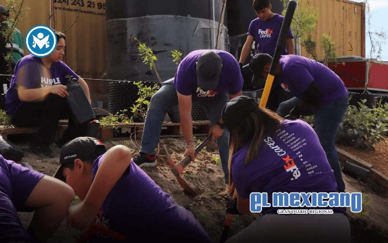 Empresas y voluntarios plantan 266 &aacute;rboles nativos en Tijuana