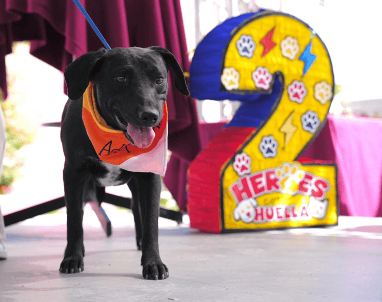 imagen-cuerpo imagen-cuerpo